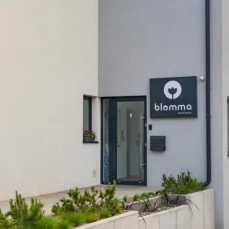 Blomma 3*